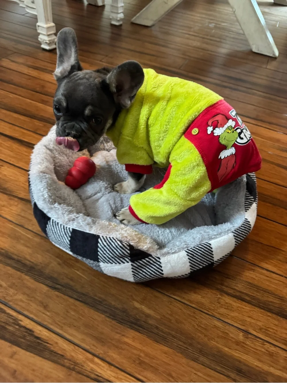 Grinch dog sweater